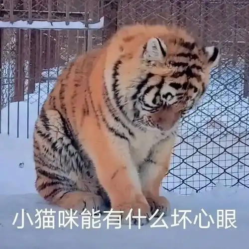 实力羡慕日木金木月木的孩砸