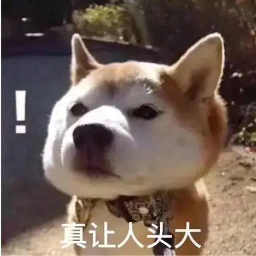沙雕表情包给你个眼神自己体会