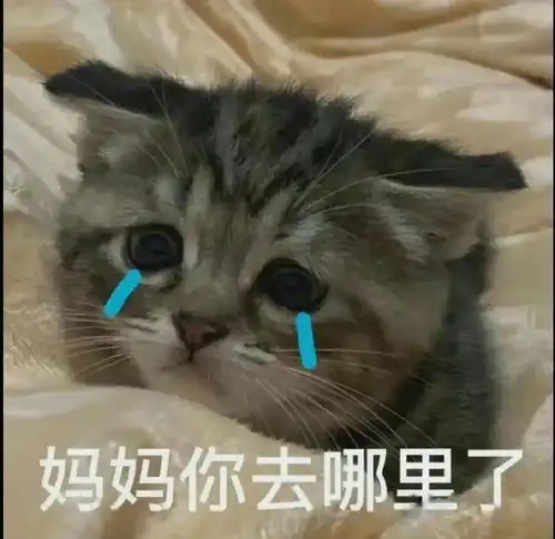 再您妈的见表情包妈妈