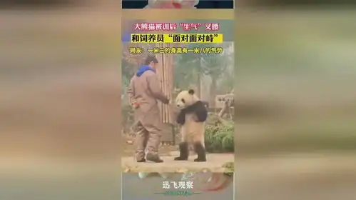 熊猫老子蜀道山