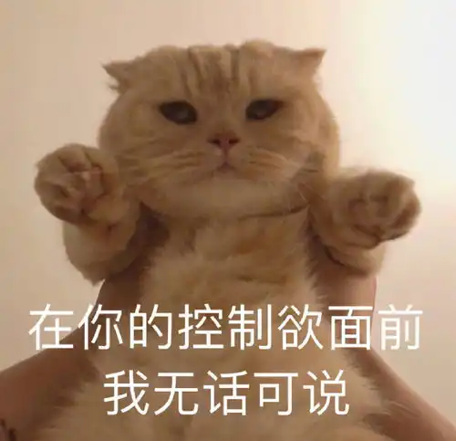 眼神表情包图片