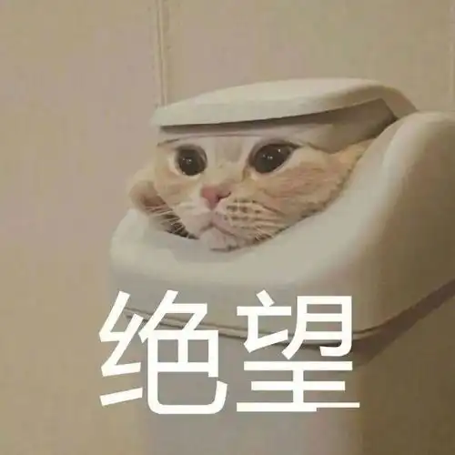 解锁杨梅新吃法冰冻杨梅,吃一颗,销魂一夏