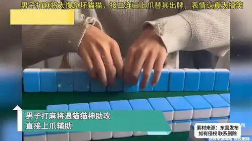 打麻将表情包gif猫猫