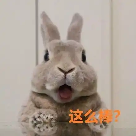 aprilrainmayflowers丨今年春天最好的录取之一
