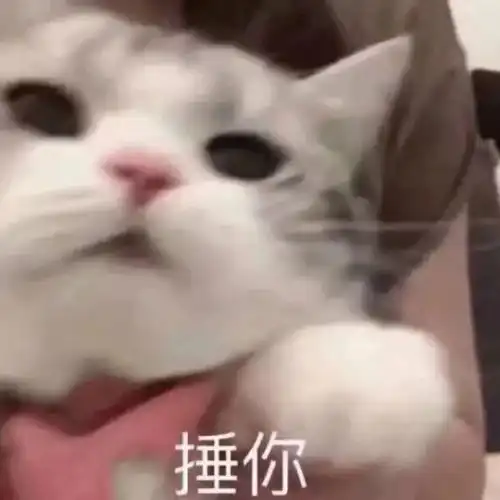 表情包我跟你讲,今天就必须带我吃火锅