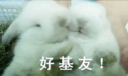 可爱兔子表情包