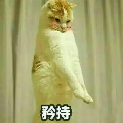 志愿