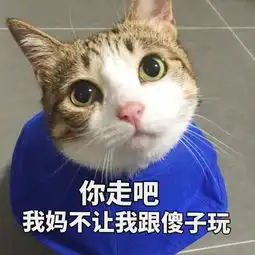 如何看待微博头条作者特别调查员以死者语气撰文攻击死者母亲的行为