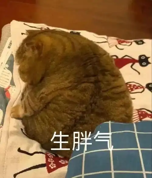 热门搞笑表情包图片超委屈
