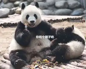 熊猫撒娇要竹子,却被亲妈怒甩一个耳光我是你充话费送的吗