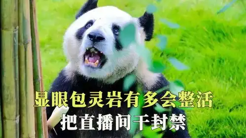 显眼包灵岩有多会整活,第一次看到大熊猫甩臀,把直播间干封的