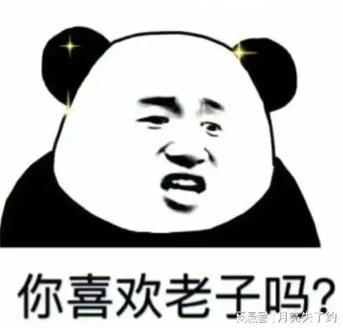 今天也很喜欢你表情包老