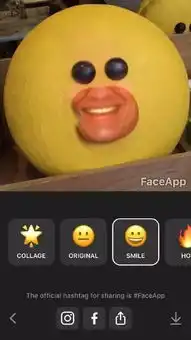 专治面瘫这个软件能让你笑到妈都不认得,对表情包有奇效