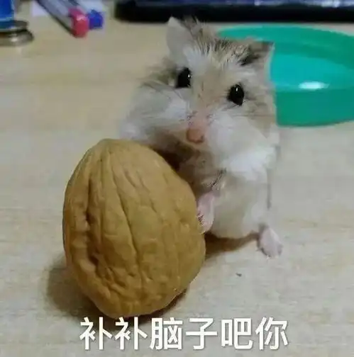 幽默搞笑表情包来自单身狗的羡慕
