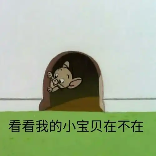 有哪些适用于和女生聊天开场白的表情包