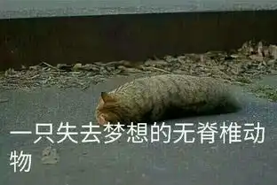 泰拉瑞亚给新人看的原版部分合成表