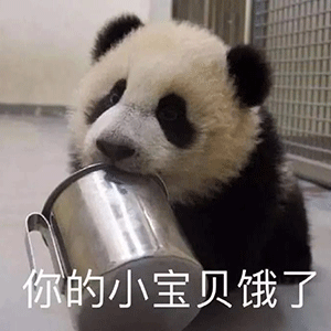 可爱的动态表情包小孩只