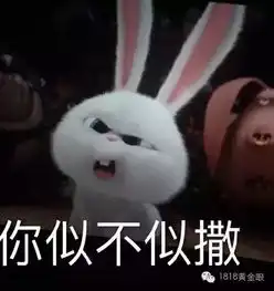 为了40块钱,亲爹竟将儿子抵押给别人