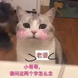 别跟我谈爱情,戒了