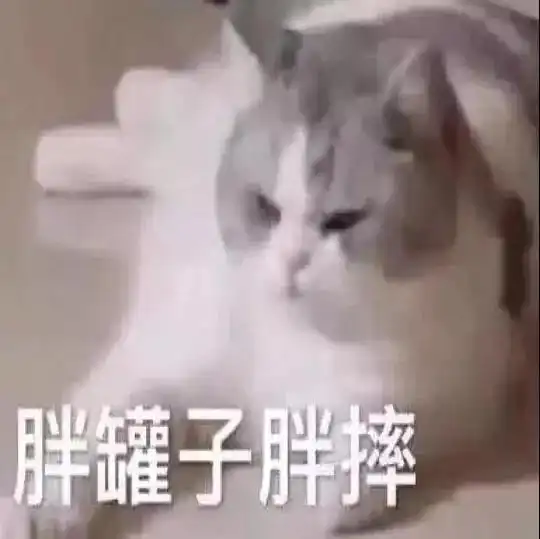 一只猫竟然逼疯了14万网友,找猫就找猫咋还瞎了呢