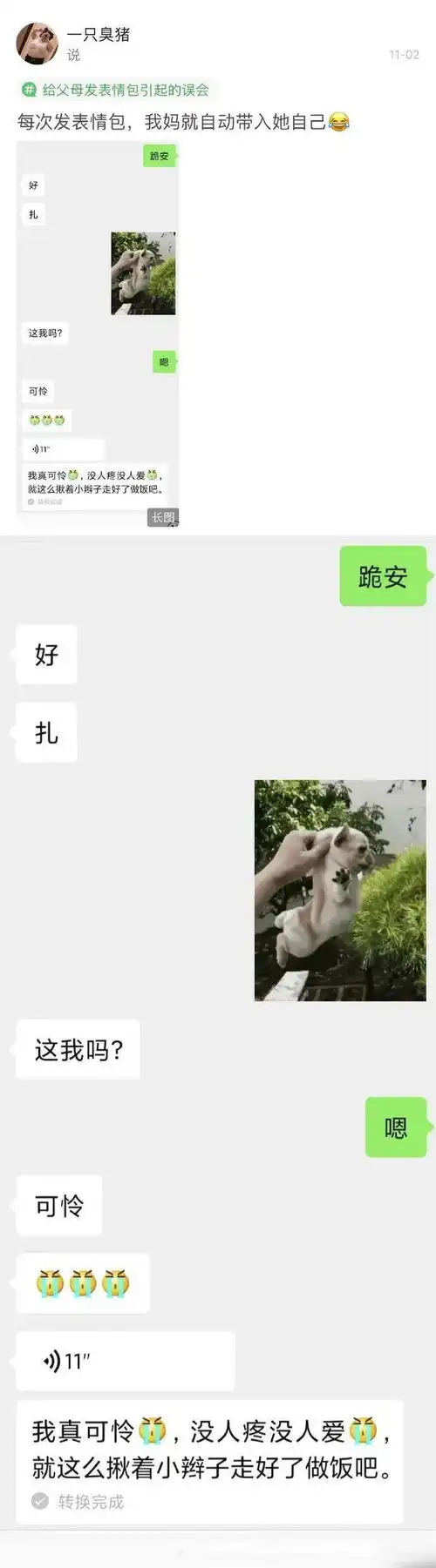 给爸妈发表情包引起的误会网友聊天记录笑出声