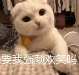 猫咪表情包丨进来吸猫
