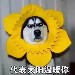 开心一刻吃瓜瓜瓜瓜瓜瓜瓜瓜瓜瓜瓜瓜群众