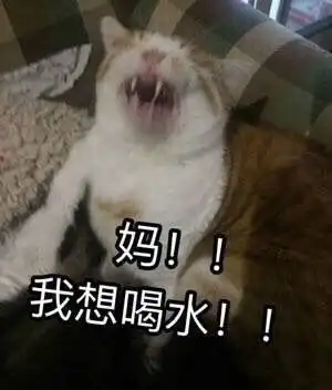 妈妈给装的行李箱这是不是在家时你的日常哈哈哈哈简直不能再形象了