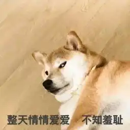 这是一条合集推文