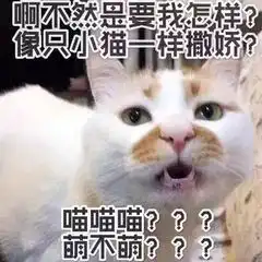 之杜默雨灵灵正传