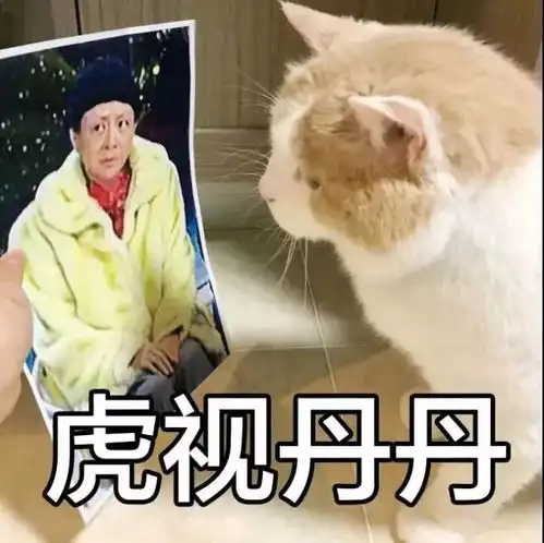 我不是猫我是小脑虎