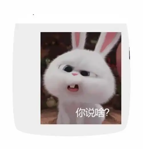 兔子发出呜呜的声音表情