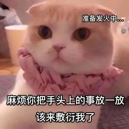 情侣万能聊天表情包老子的爱收好