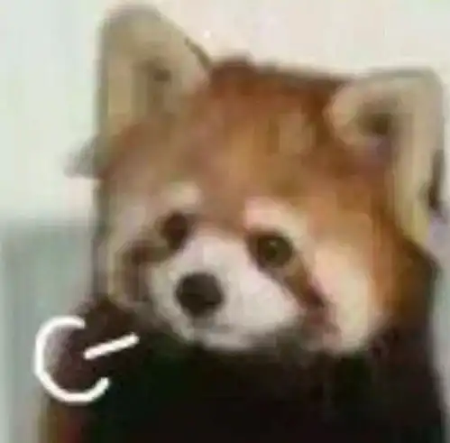 来往这打表情包小熊猫