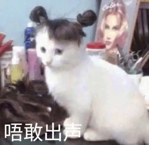 泥头车图片搞笑表情包趁