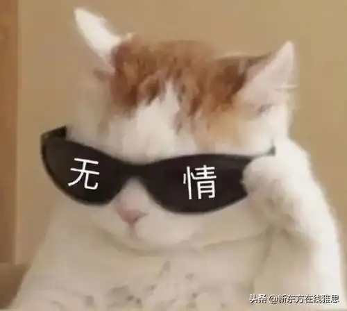 我不服土澳毕业留学生,凭什么处在鄙视链底端
