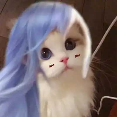 猫咪cos王者荣耀头像