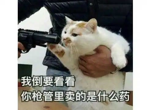 rap表情包表情