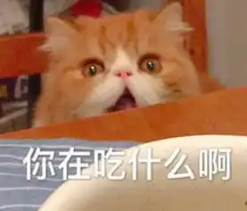 叮你的问题我解决,属于你的研小宝来啦