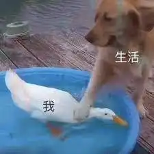 有没有在工程类公司工作的小可爱,想去财务部应聘...