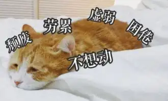 随遇而安,一碗熬了三百多年的毒鸡汤