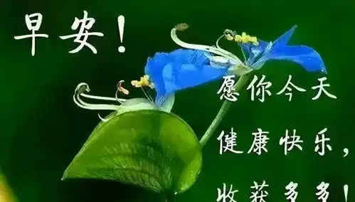 学会适应,让你的环境变得明亮