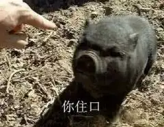 鹿晗分手爆上热搜,关晓彤发文要学会坚强鲸鱼