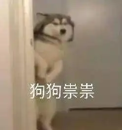 一只狗行8表情包最怕