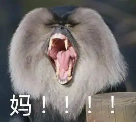 再您妈的见表情包动物