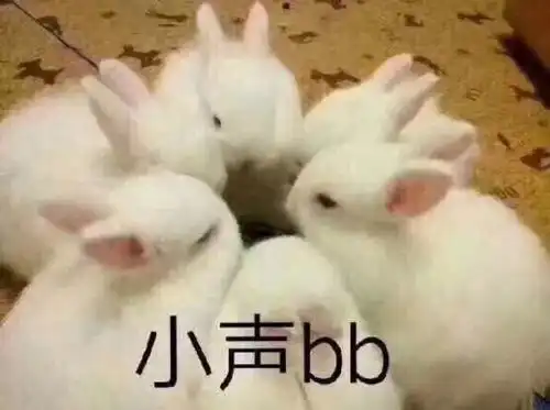 兔子发出呜呜的声音表情
