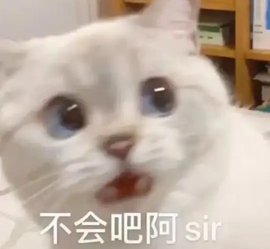 哪个表情包最可爱