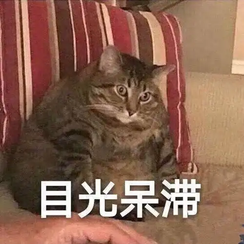 猫咪表情包25张我这一巴掌下棋你可能会死