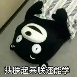 这个熊叫什么谁有很多这个熊的表情包求