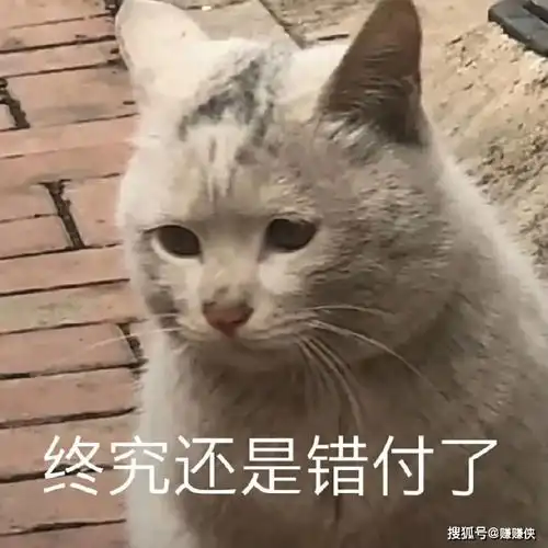 最新表情包图片你就不知道哄哄我